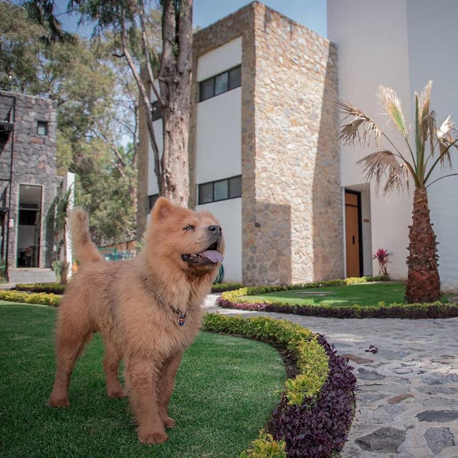 Hotel Boutique Camino Del Bosque By Rotamundos Cholula Eksteriør bilde