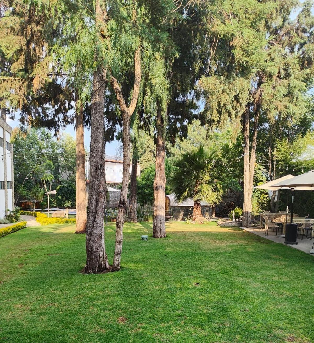 Hotel Boutique Camino Del Bosque By Rotamundos Cholula Eksteriør bilde